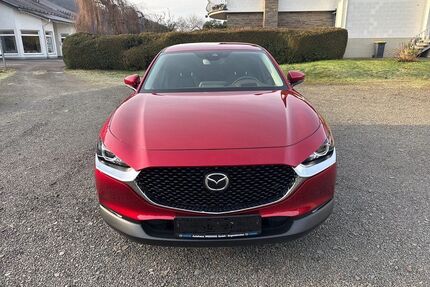Mazda CX-30 Gebrauchtwagen