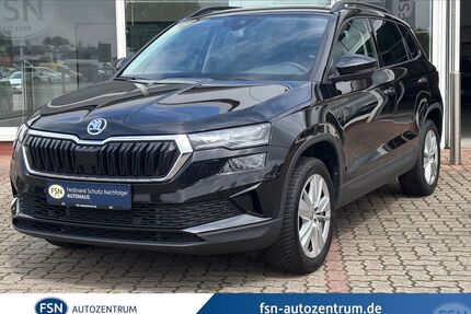 Skoda Karoq Gebrauchtwagen
