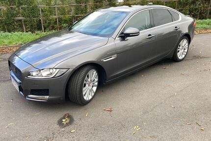 Jaguar XF Gebrauchtwagen