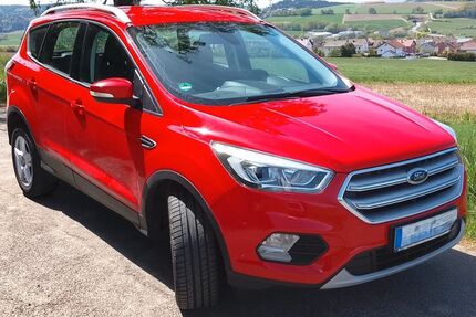 Ford Kuga Gebrauchtwagen