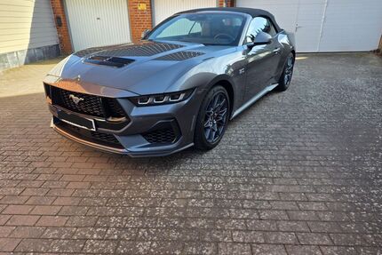 Ford Mustang Gebrauchtwagen