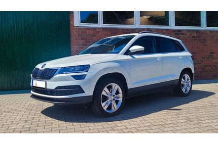 Skoda Karoq Gebrauchtwagen