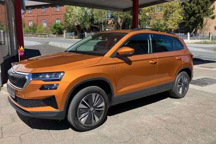 Skoda Karoq Gebrauchtwagen