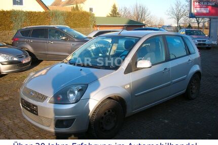 Ford Fiesta Gebrauchtwagen