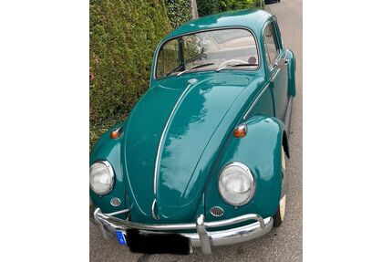 VW Käfer Gebrauchtwagen