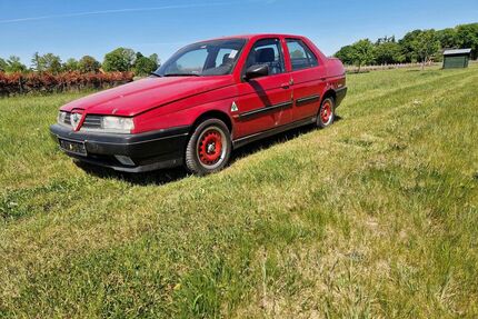 Alfa Romeo 155 Gebrauchtwagen