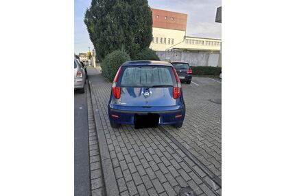Fiat Punto Gebrauchtwagen