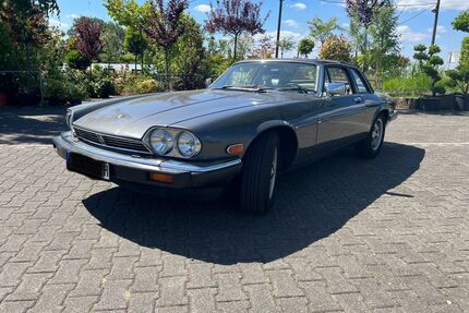 Jaguar XJS Gebrauchtwagen