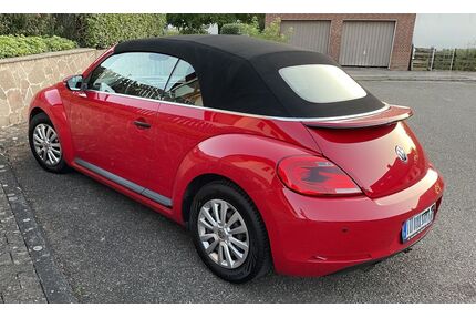 VW Beetle Gebrauchtwagen