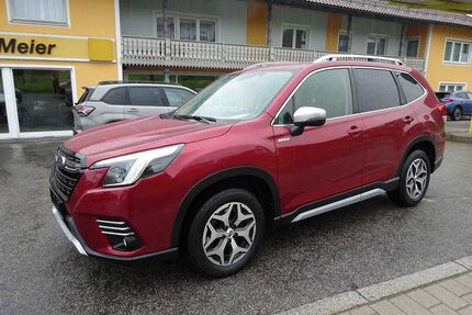 Subaru Forester Gebrauchtwagen