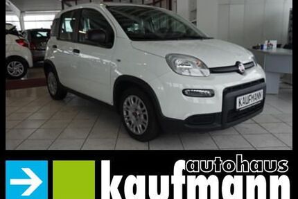 Fiat Panda Gebrauchtwagen