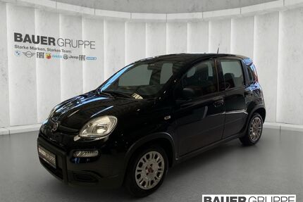 Fiat Panda Gebrauchtwagen