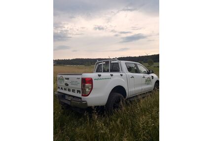 Ford Ranger Gebrauchtwagen