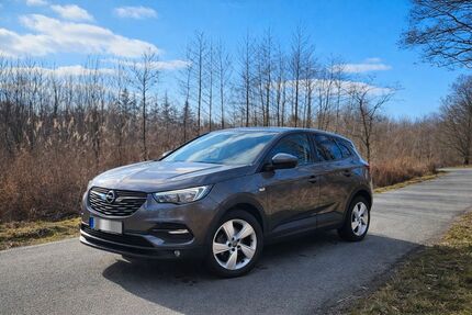 Opel Grandland (X) Gebrauchtwagen