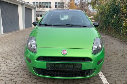 Fiat Punto Gebrauchtwagen