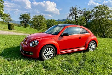 VW Beetle Gebrauchtwagen