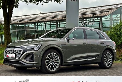 Audi Q8 e-tron Gebrauchtwagen