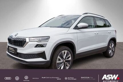 Skoda Karoq Gebrauchtwagen