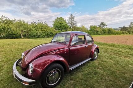 VW Käfer Gebrauchtwagen