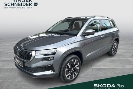 Skoda Karoq Gebrauchtwagen