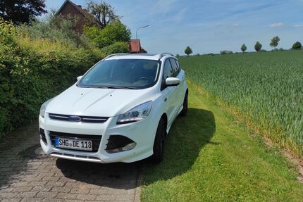 Ford Kuga Gebrauchtwagen
