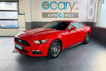 Ford Mustang Gebrauchtwagen