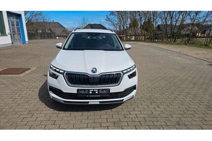 Skoda Kamiq Gebrauchtwagen