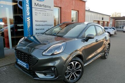 Ford Puma Gebrauchtwagen