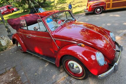 VW Käfer Gebrauchtwagen