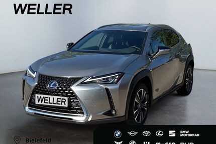Lexus UX Gebrauchtwagen