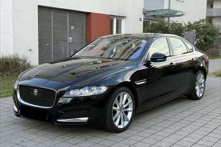 Jaguar XF Gebrauchtwagen