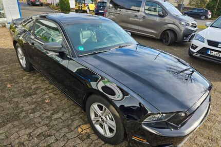 Ford Mustang Gebrauchtwagen