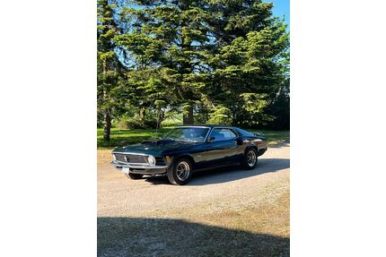 Ford Mustang Gebrauchtwagen