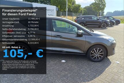 Ford Fiesta Gebrauchtwagen
