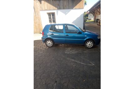 VW Polo Gebrauchtwagen