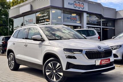Skoda Karoq Gebrauchtwagen