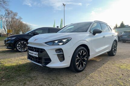 Cupra Terramar Gebrauchtwagen