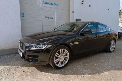 Jaguar XE Gebrauchtwagen