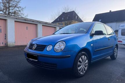 VW Polo Gebrauchtwagen