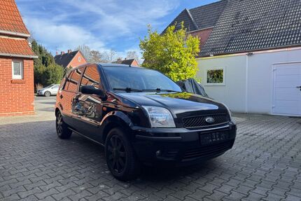 Ford Fusion Gebrauchtwagen