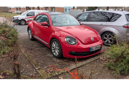 VW Beetle Gebrauchtwagen