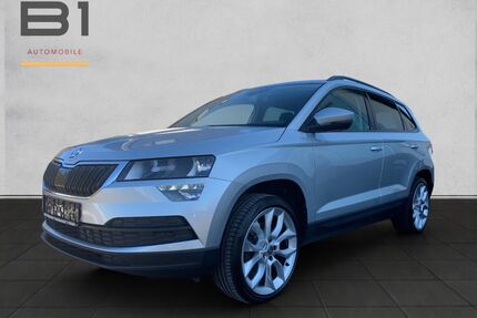 Skoda Karoq Gebrauchtwagen