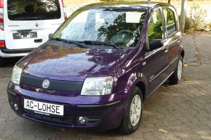 Fiat Panda Gebrauchtwagen