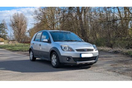 Ford Fiesta Gebrauchtwagen