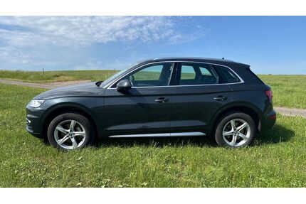 Audi Q5 Gebrauchtwagen