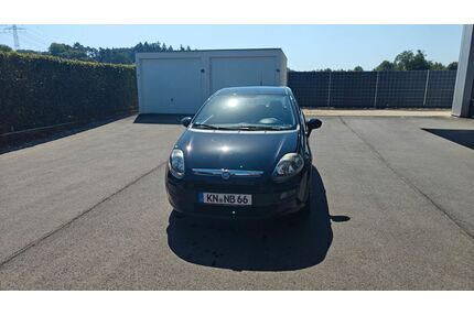 Fiat Punto Gebrauchtwagen