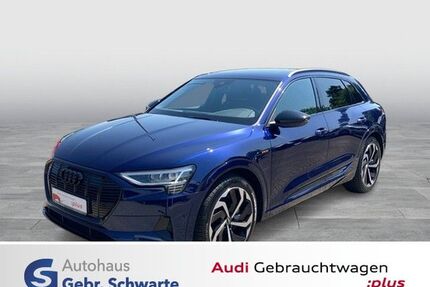 Audi e-tron Gebrauchtwagen