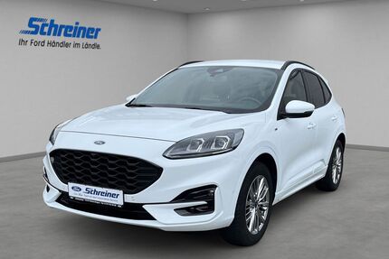 Ford Kuga Gebrauchtwagen