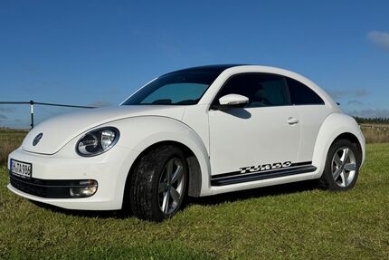 VW Beetle Gebrauchtwagen