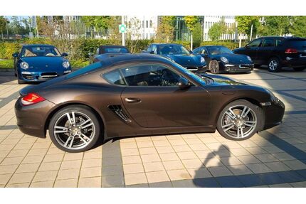 Porsche Cayman Gebrauchtwagen